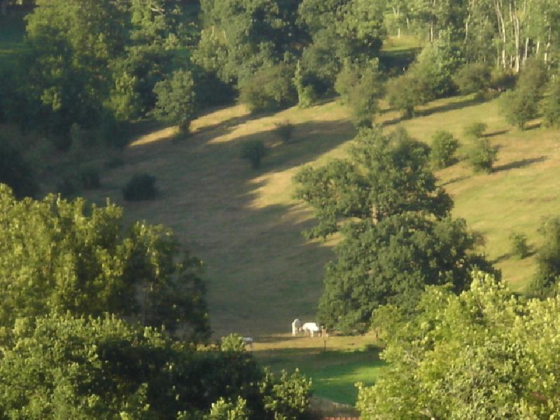 seminaire detente pr&eacute;s de caen