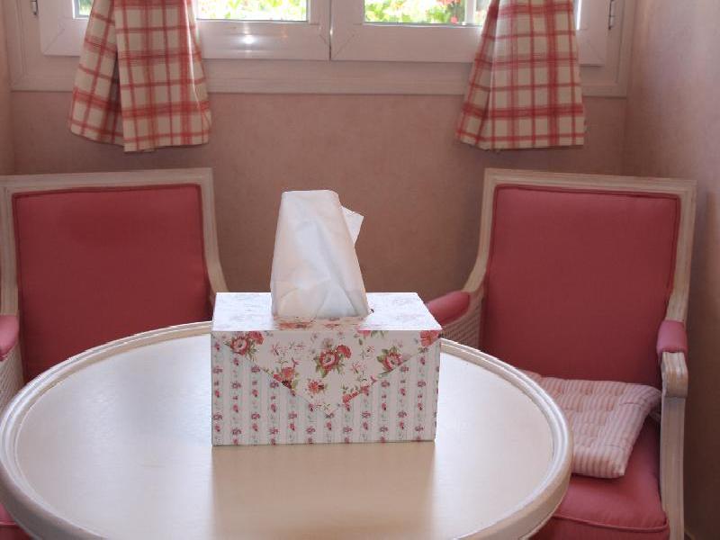 COIN  SALON  CHAMBRE ROSE