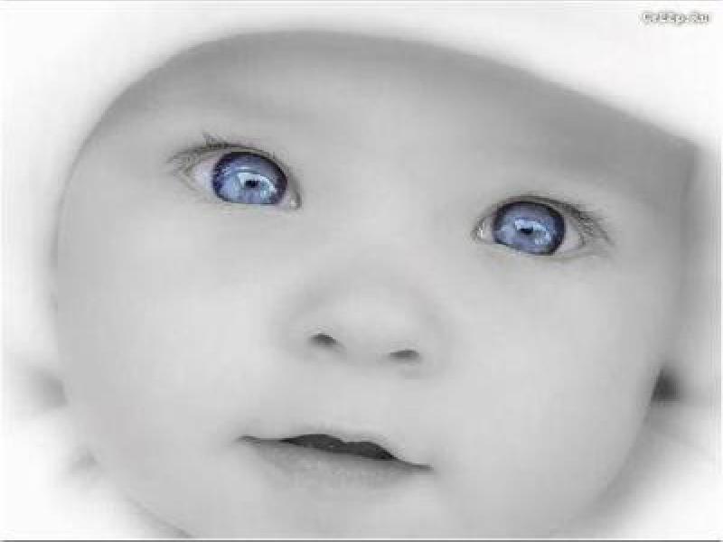Cliquez sur la photo pour agrandir et/ou d�couvrir d'autres photos