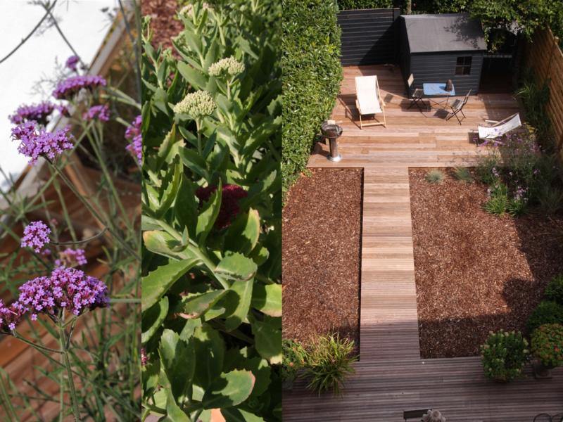 jardin