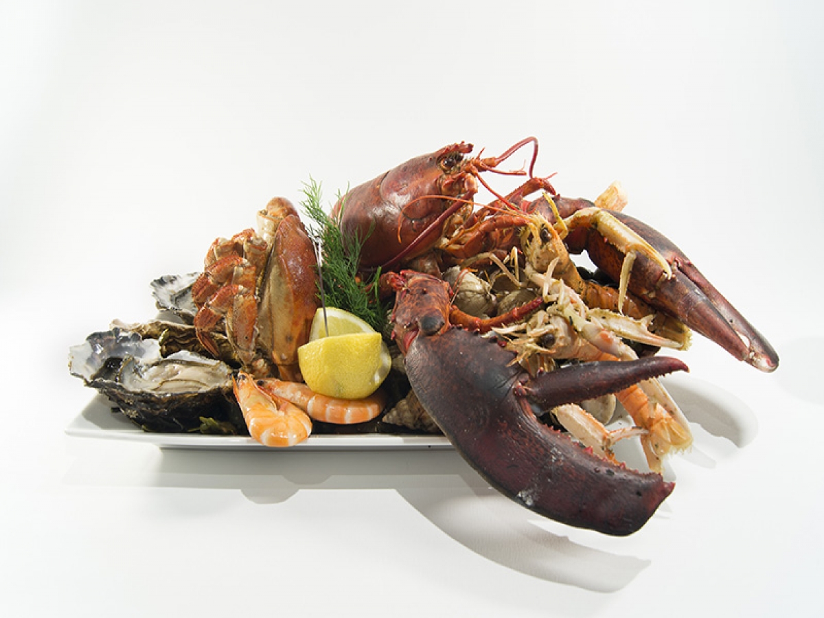 PLATEAU DE FRUITS DE MER Hôtel Entre Terre et Mer