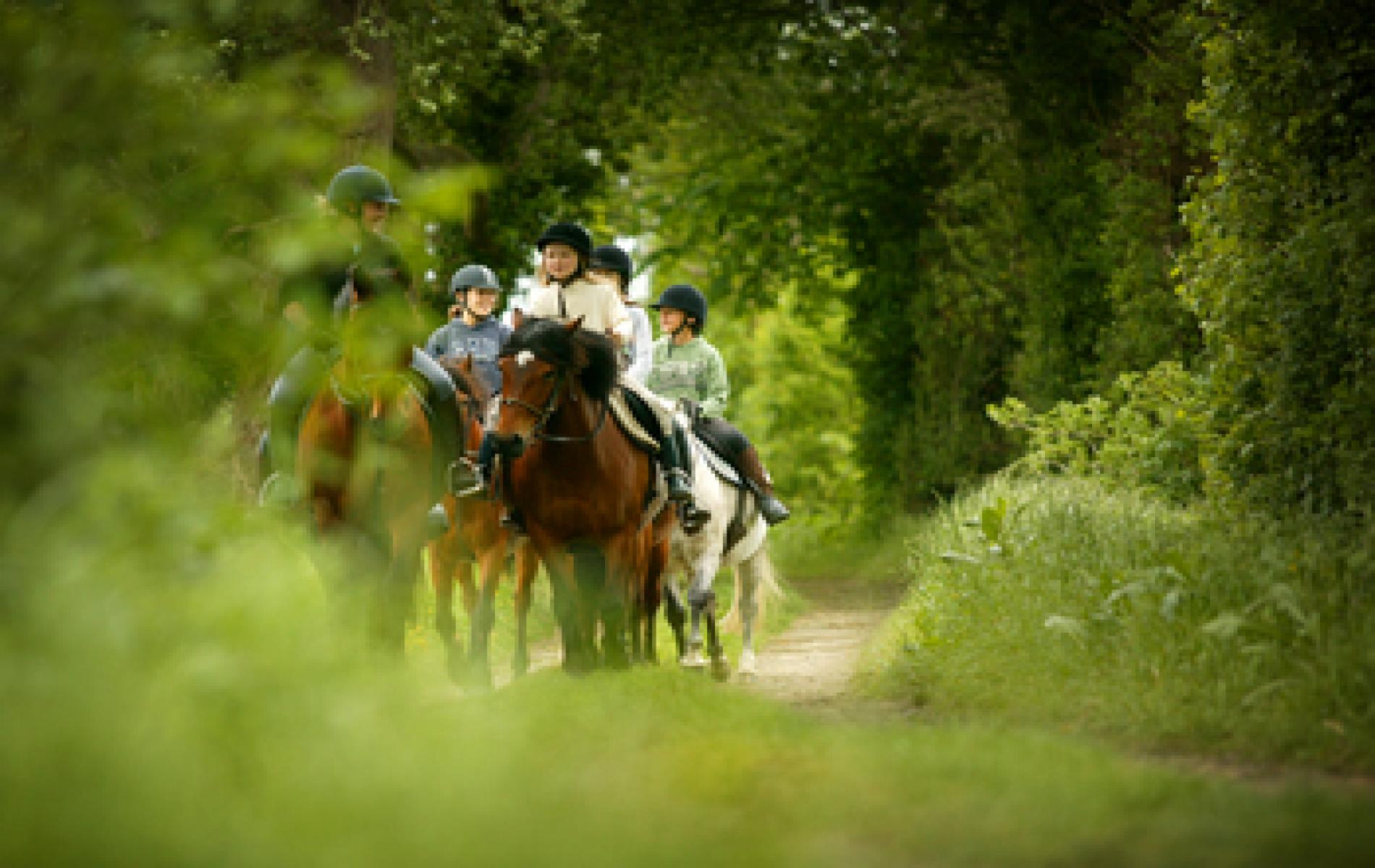 randonnee cheval cabourg