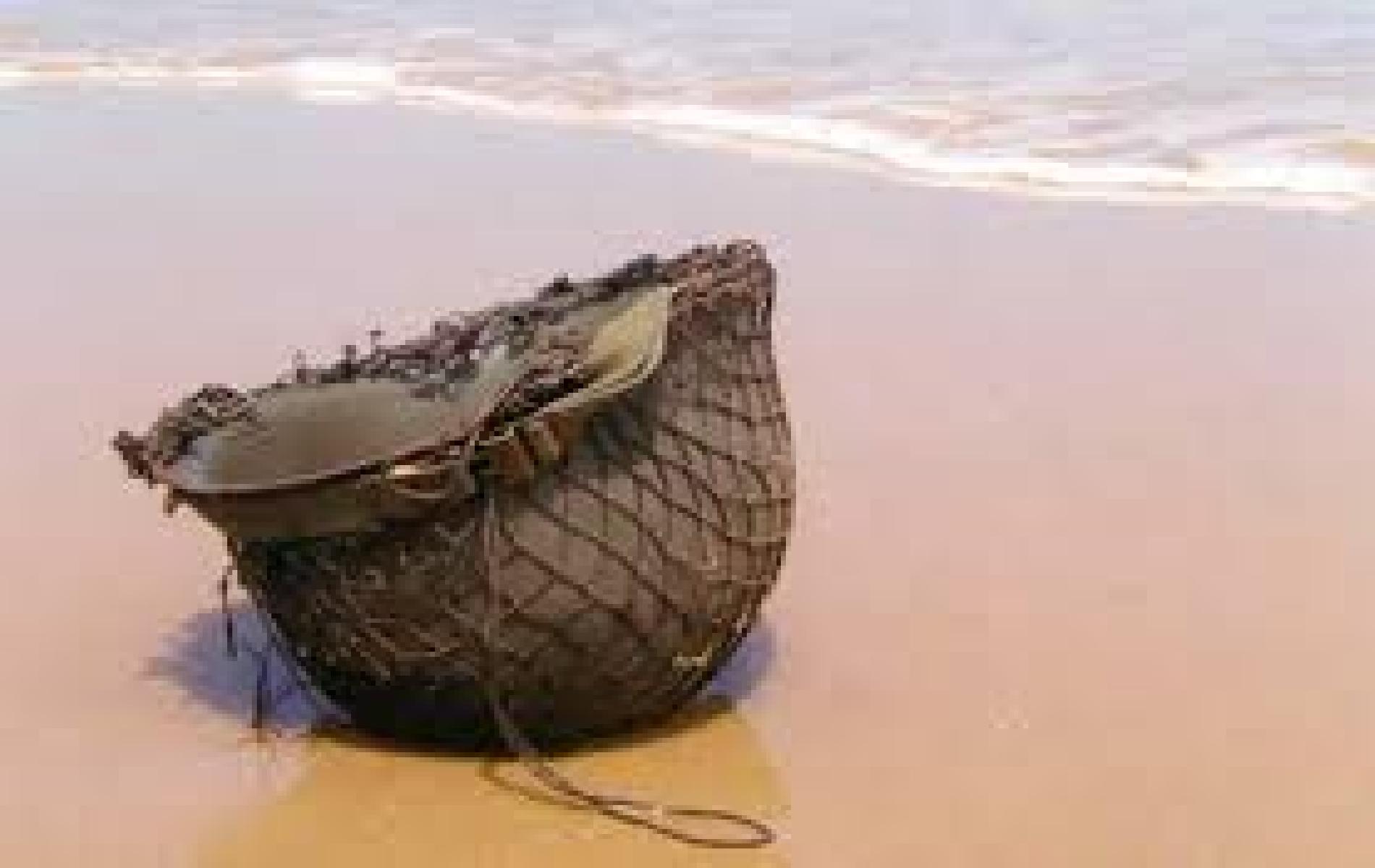 fond d'ecran 6 juin 1944