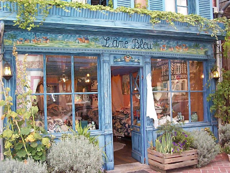 La Maison Bleue avant L'agence immobiliere "L'&acirc;ne Bleu"<BR>