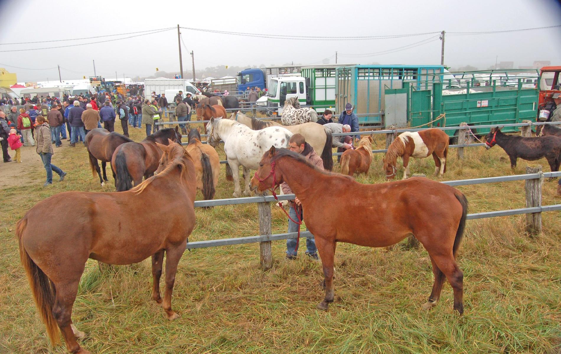 The agricultural fair of Poussay