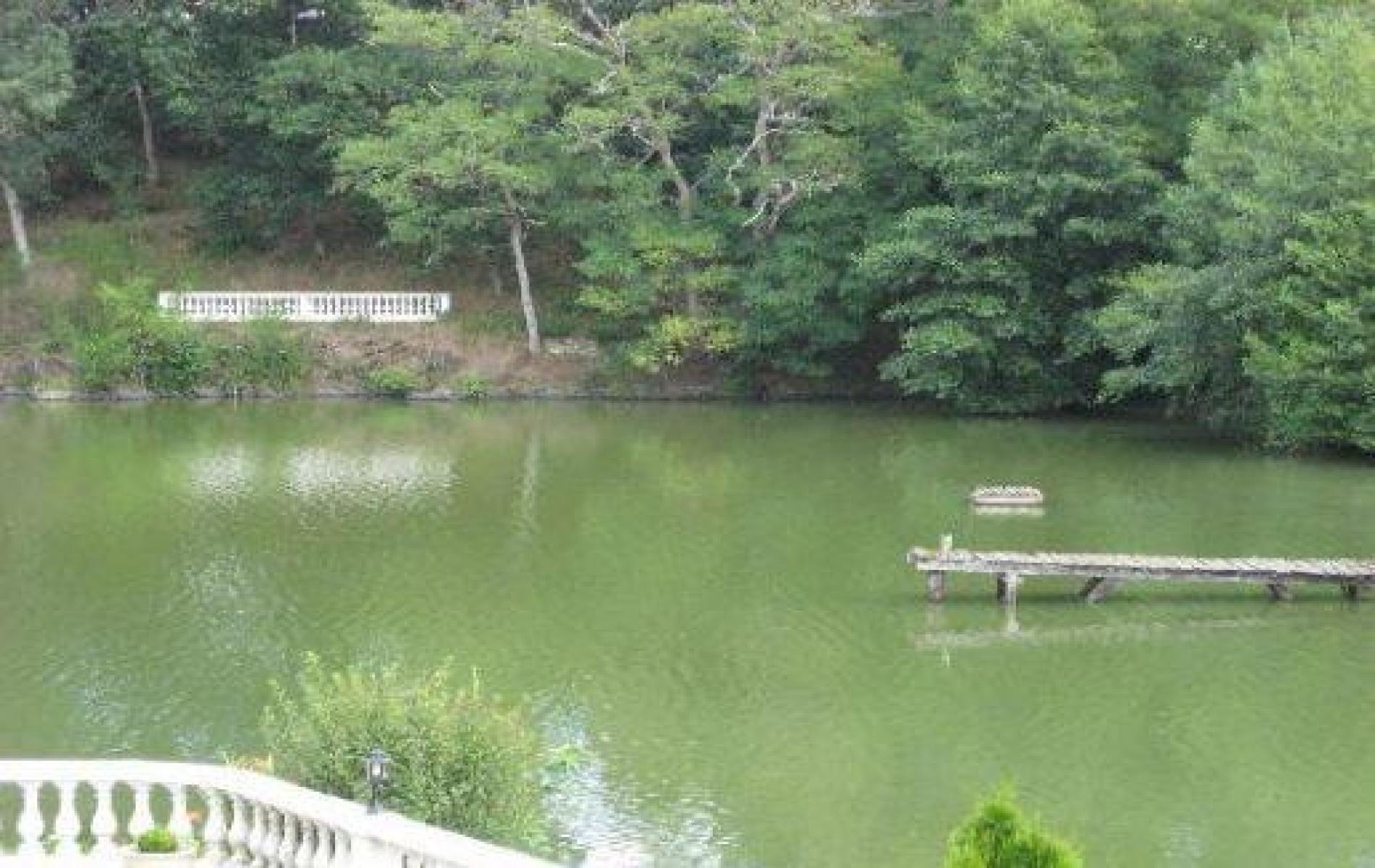  Double room overlooking the pond
