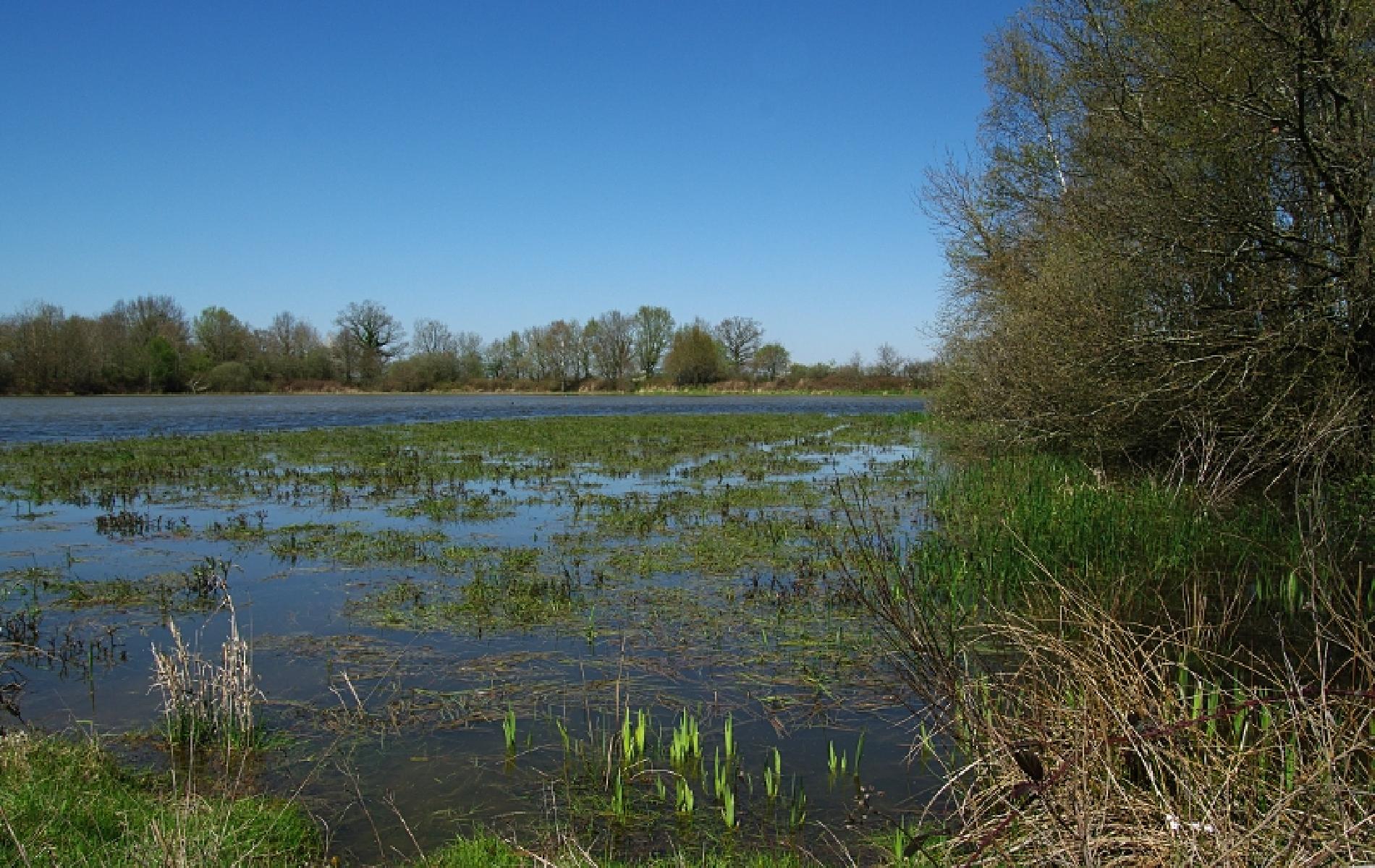 LA DOMBES