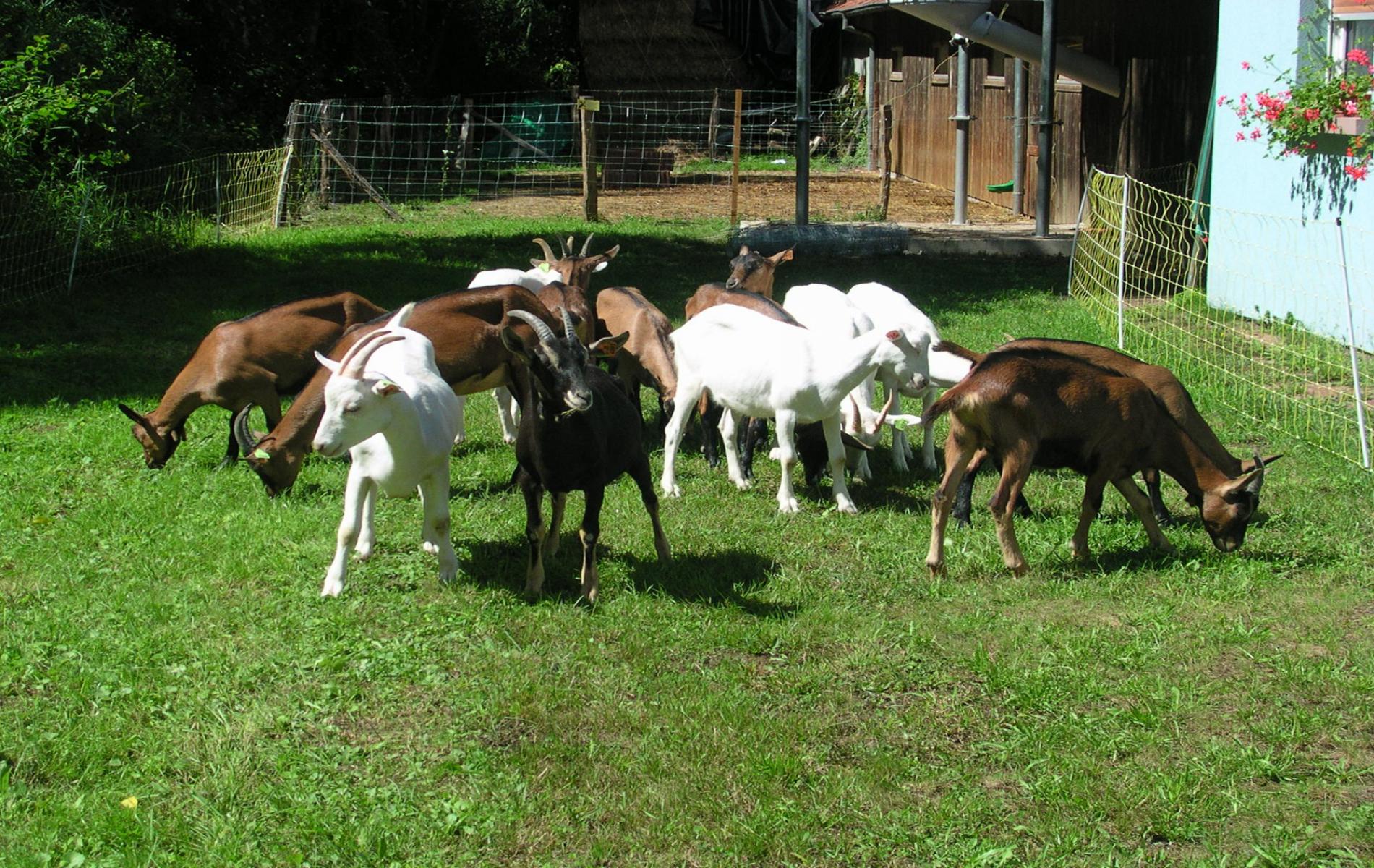 Activities and leisure close to the hotel the Cheval Blanc Steinbach