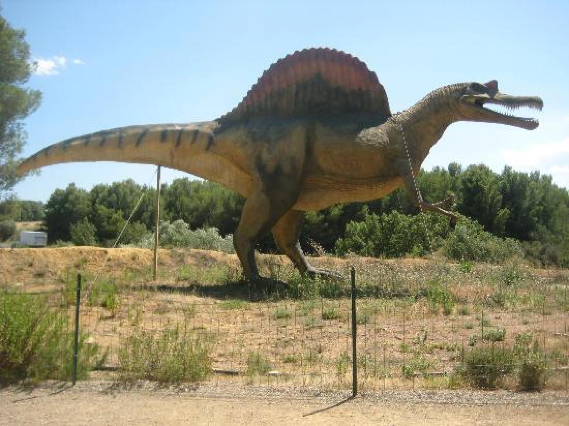 Dinosaur Park Museum