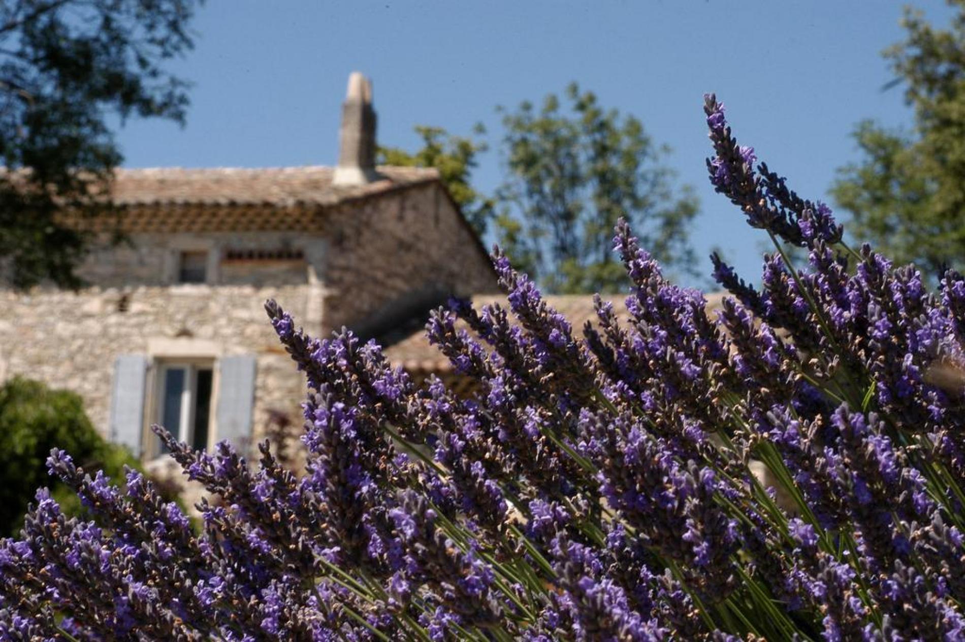 La Drôme Provençale, terre de charme d’une tranquille beauté se dévoile depuis La Vivande à Marsanne.