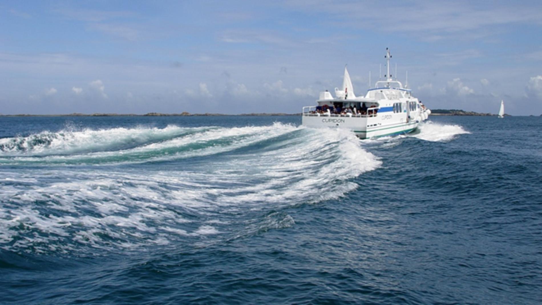 The vedettes of Bréhat (boats). 