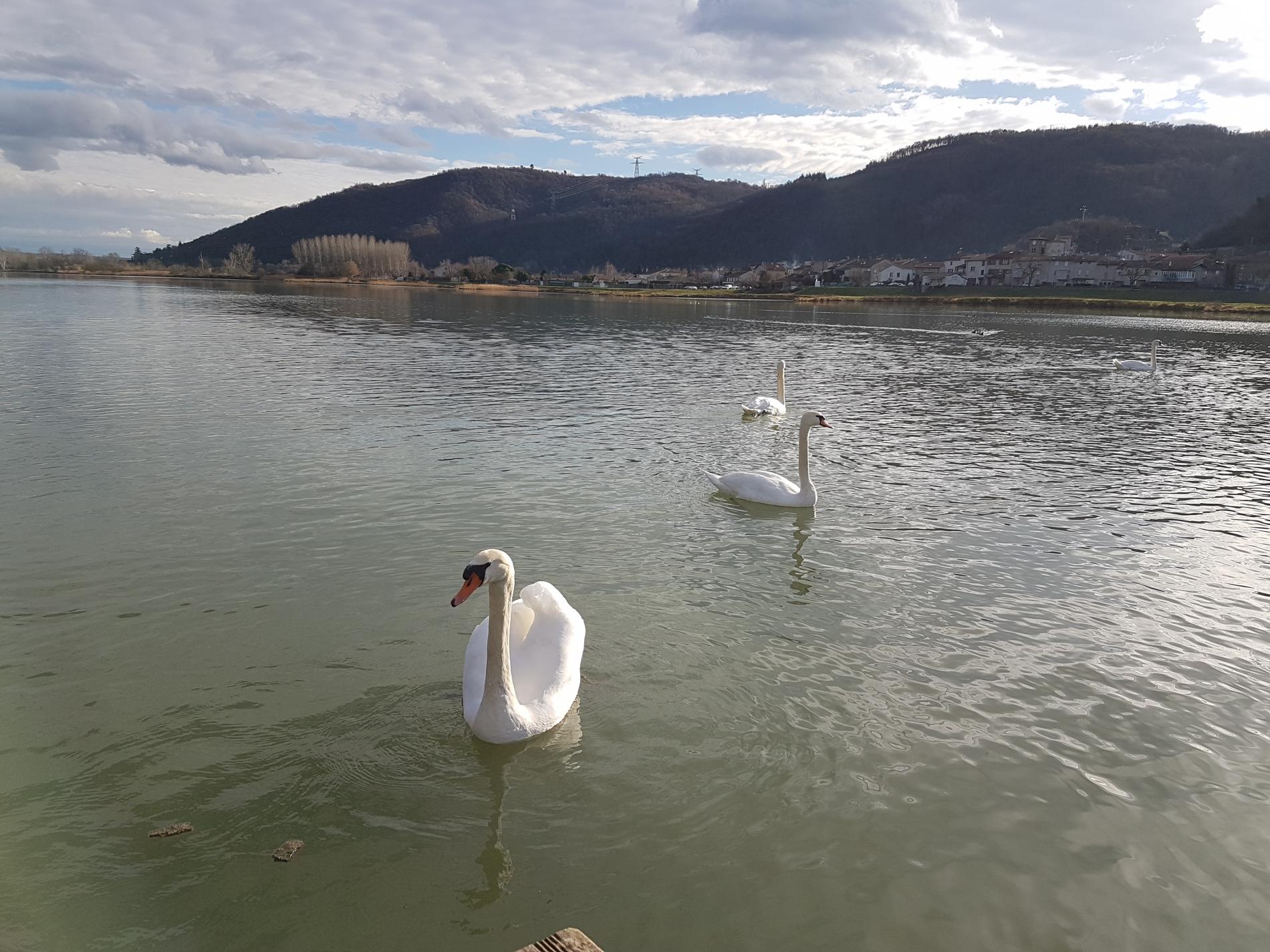 promenade le long de la via rhona