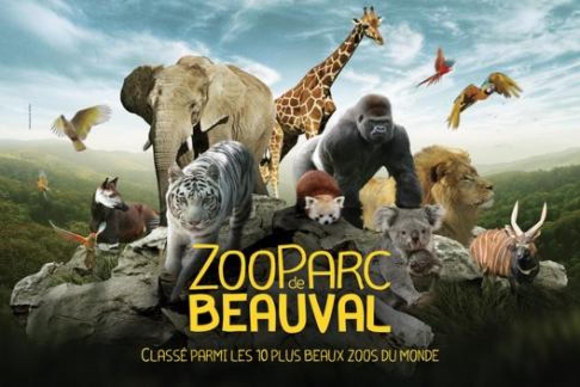 Beauval Zoo