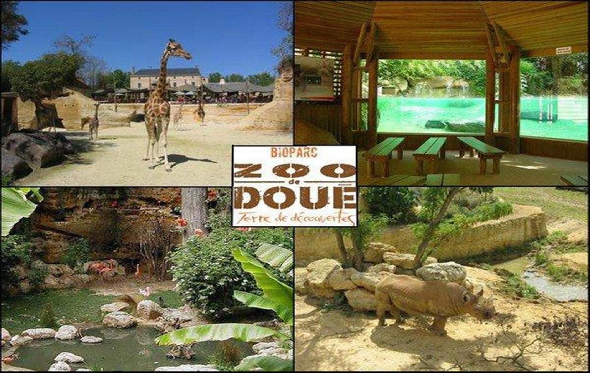 Zoo de Doué la Fontaine