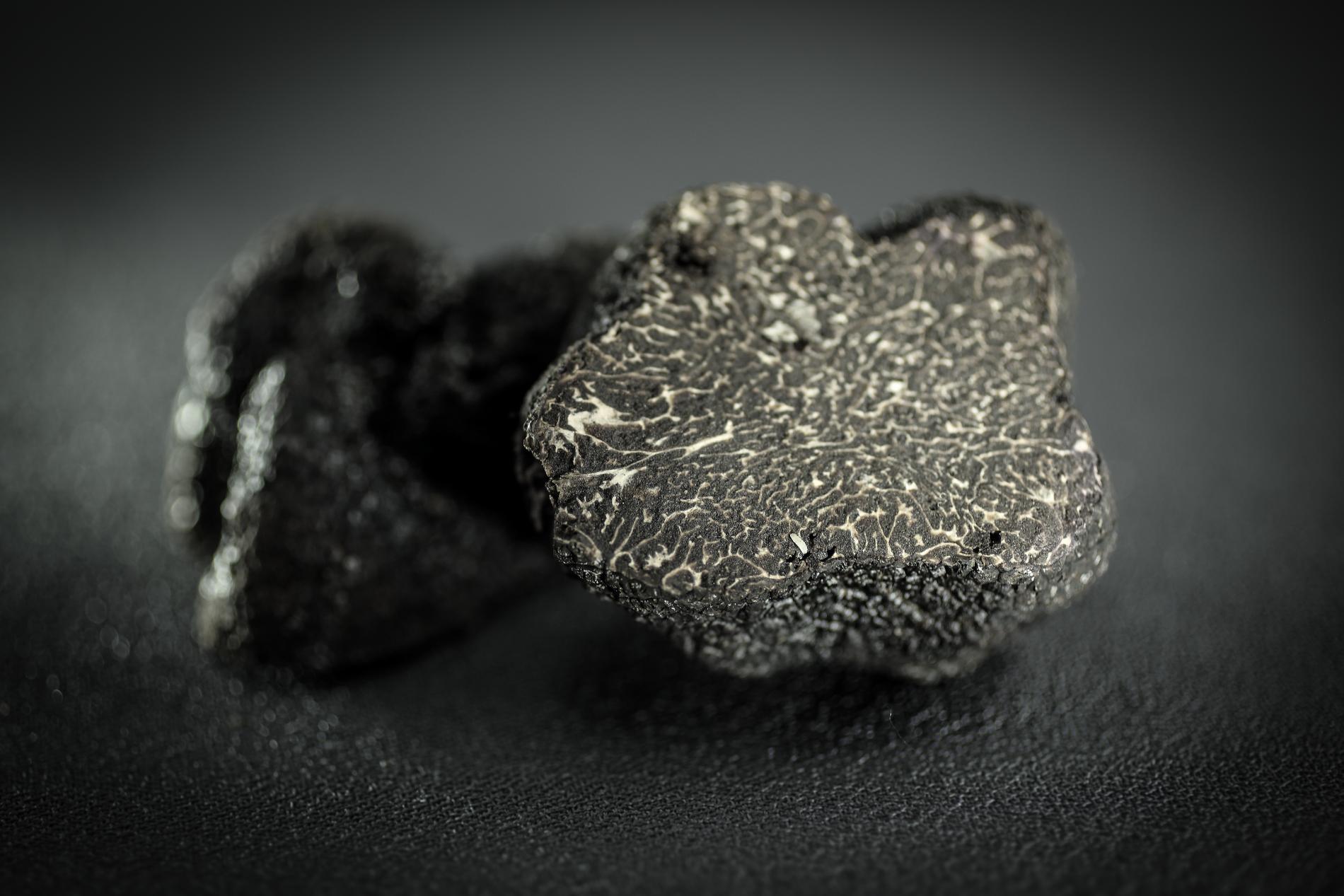 Perigord, country of the black truffle