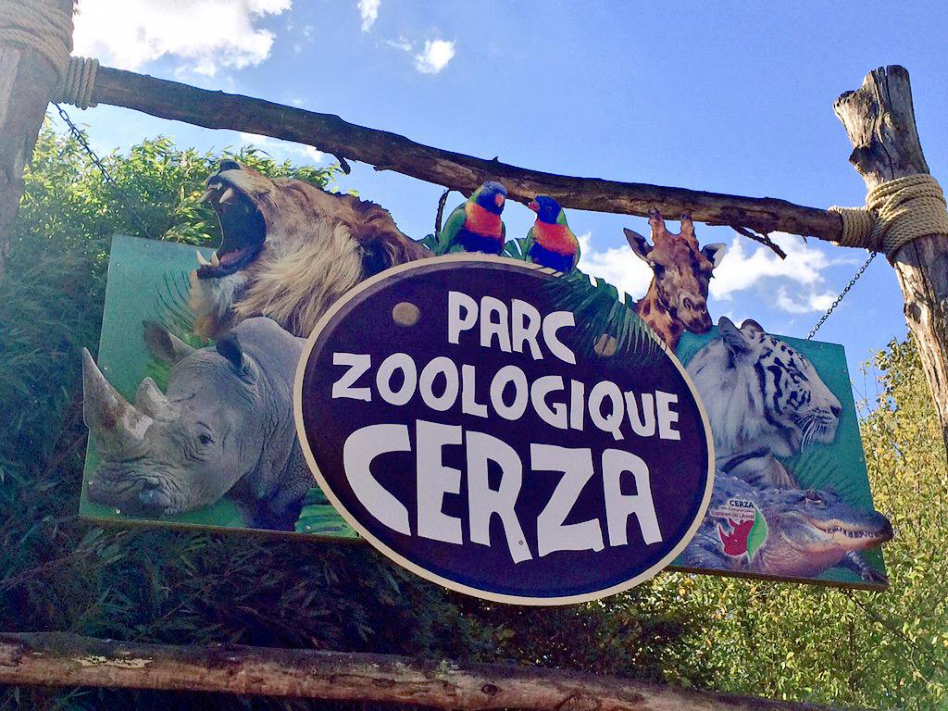  Moyaux “Cerza Zoo