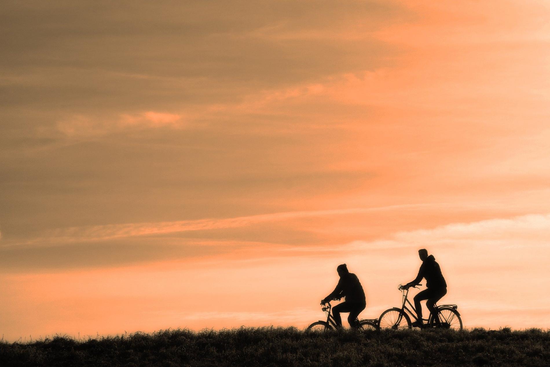 ELECTRIC BIKE AND BIKE RENTAL