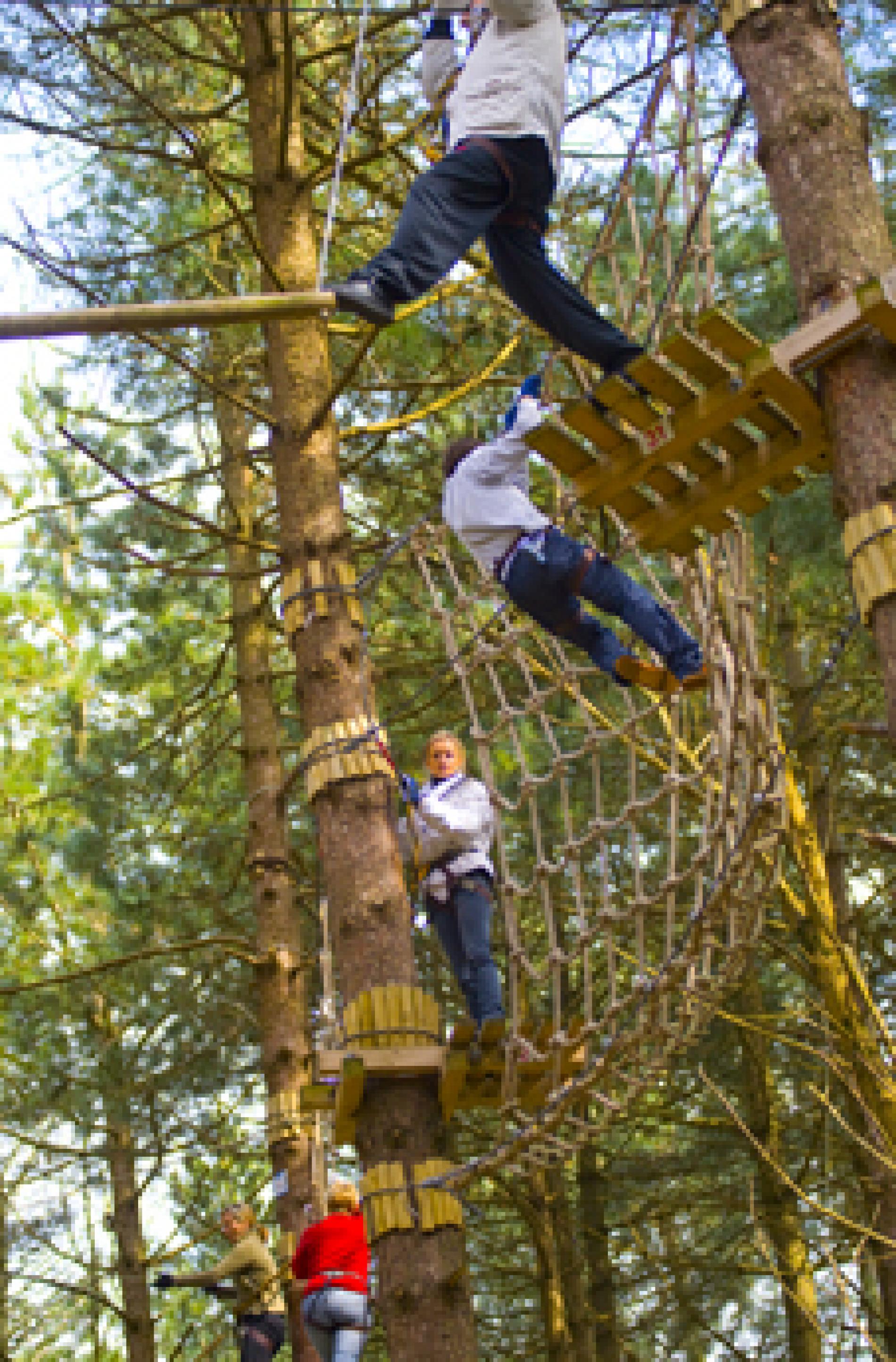 ADVENTURE PARK AND ACCROBRANCHE
