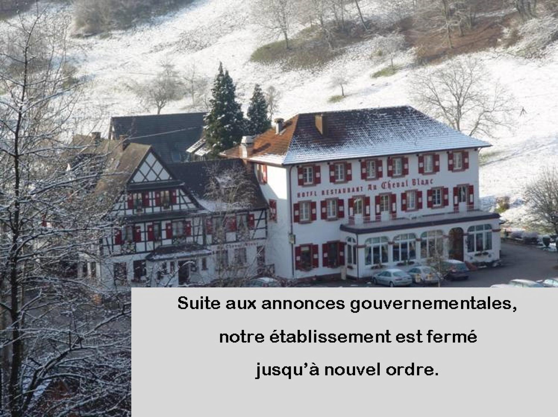 En Alsace à la découverte des champignons