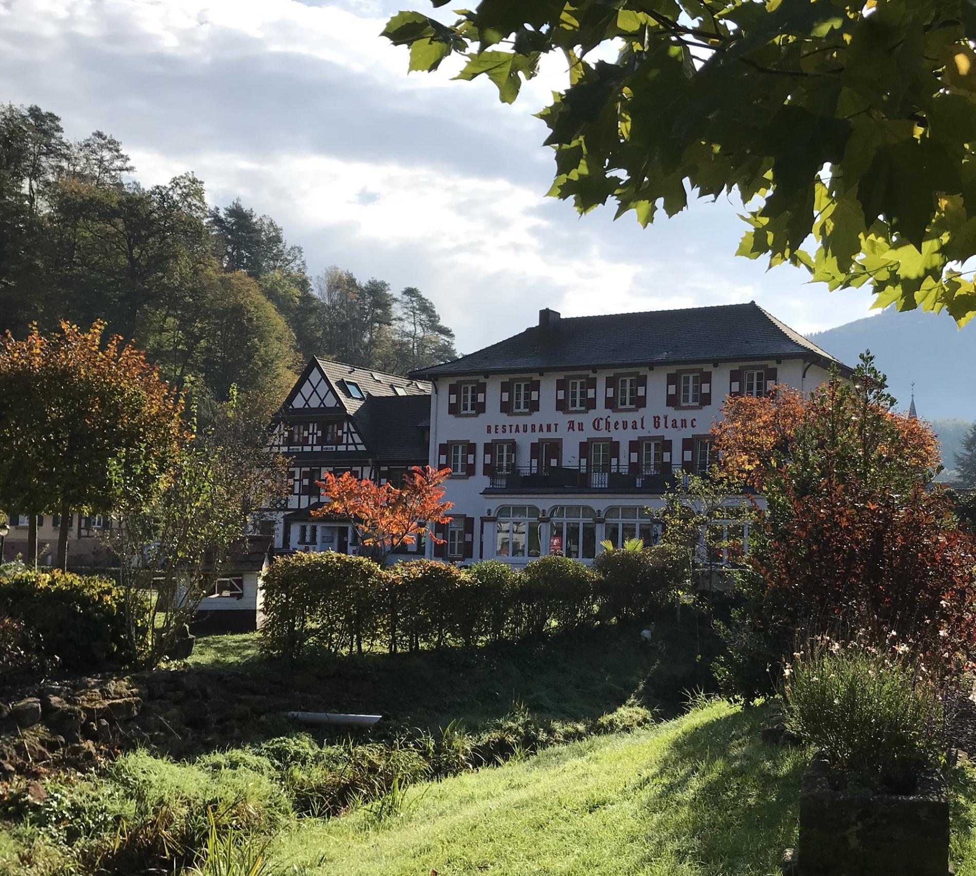 L'automne couleurs flamboyantes à Niedersteinbach