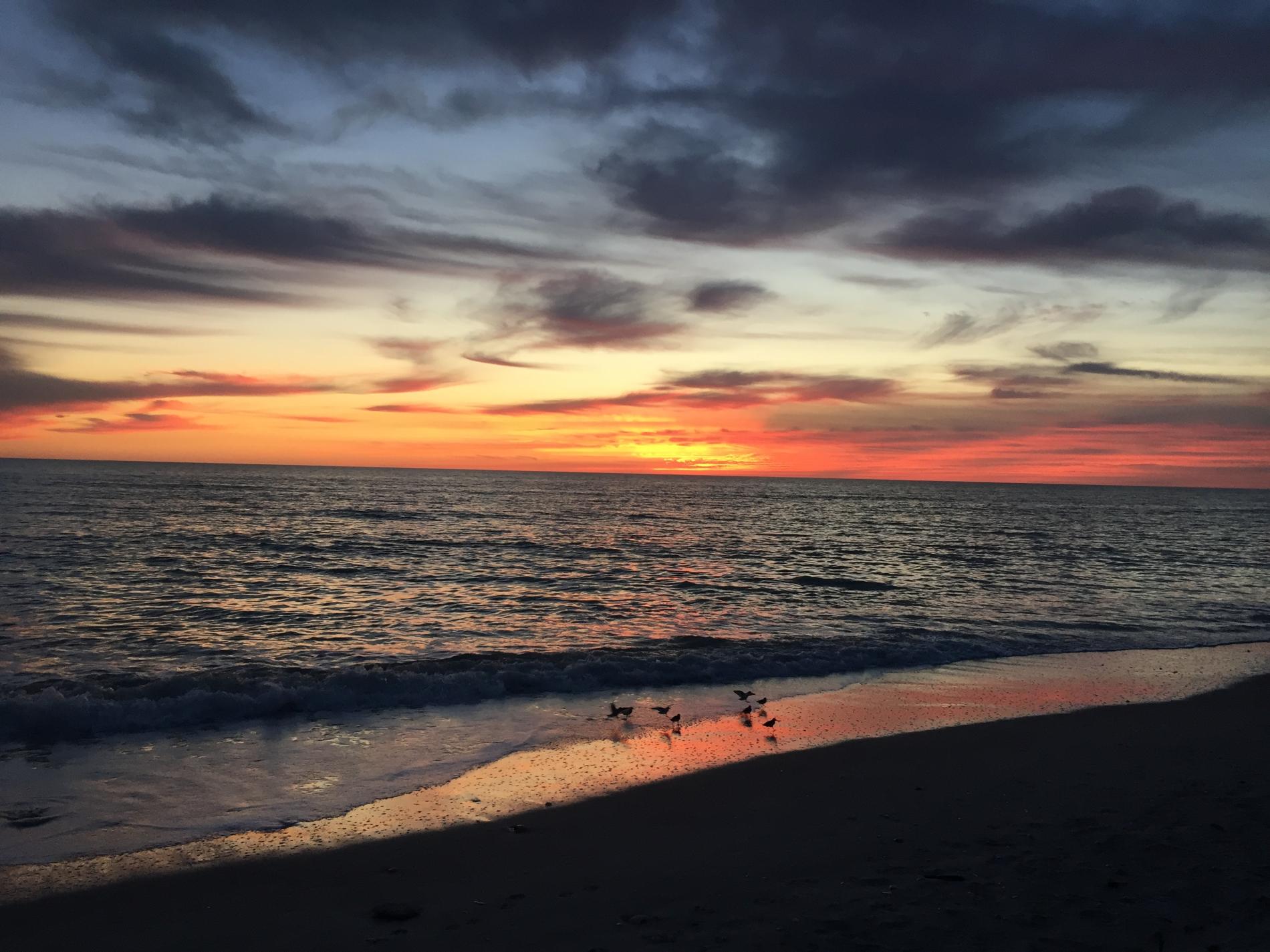  Our suggestion for your stay