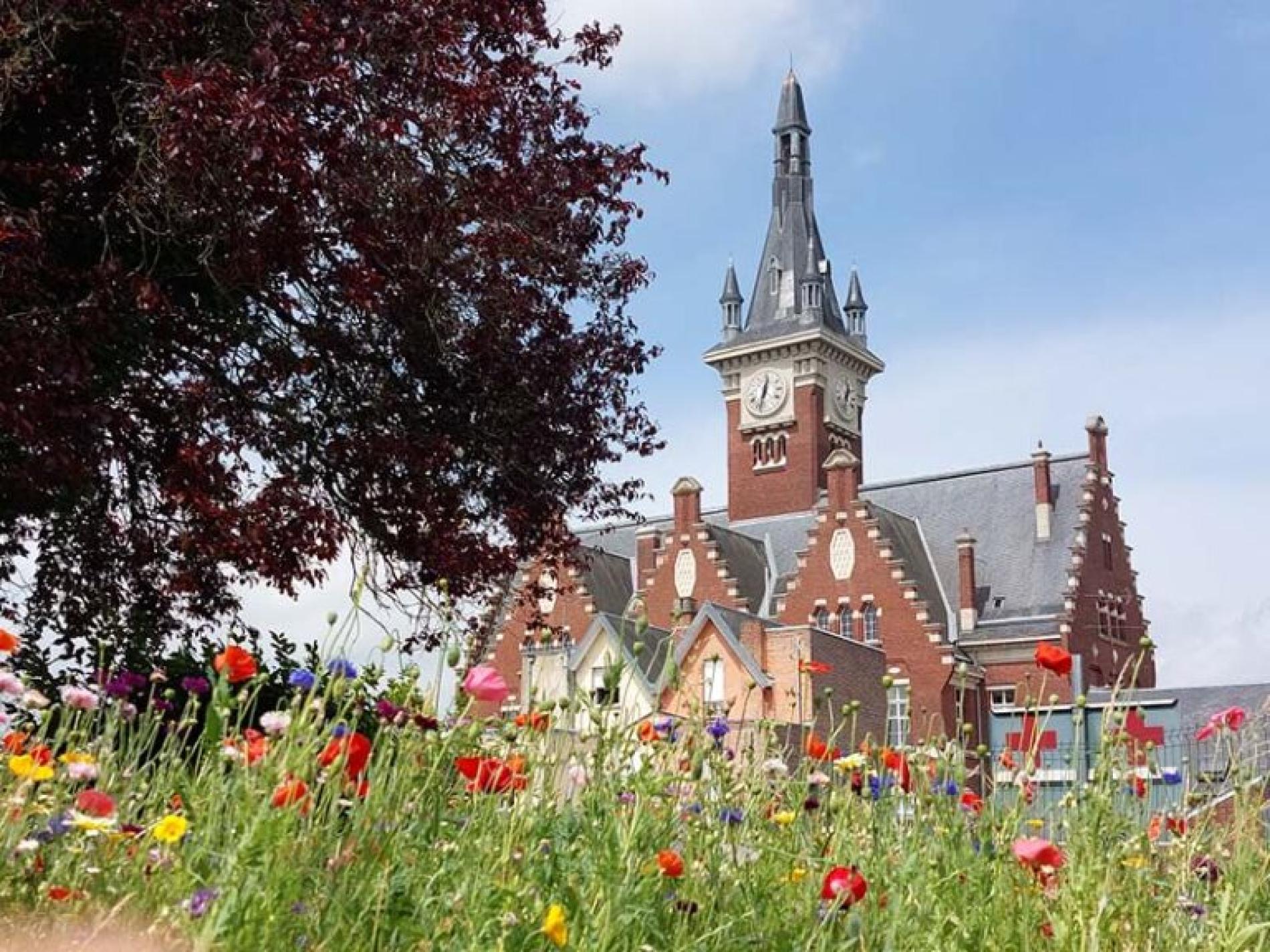 Les villes de Albert, de Bapaume et de Ham.