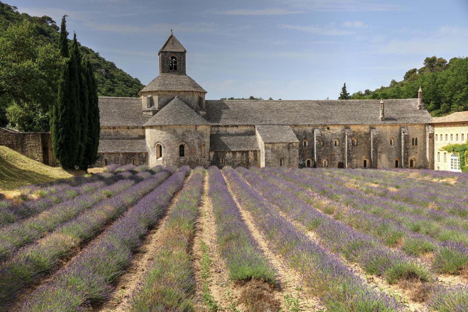 Au cœur de la Provence
