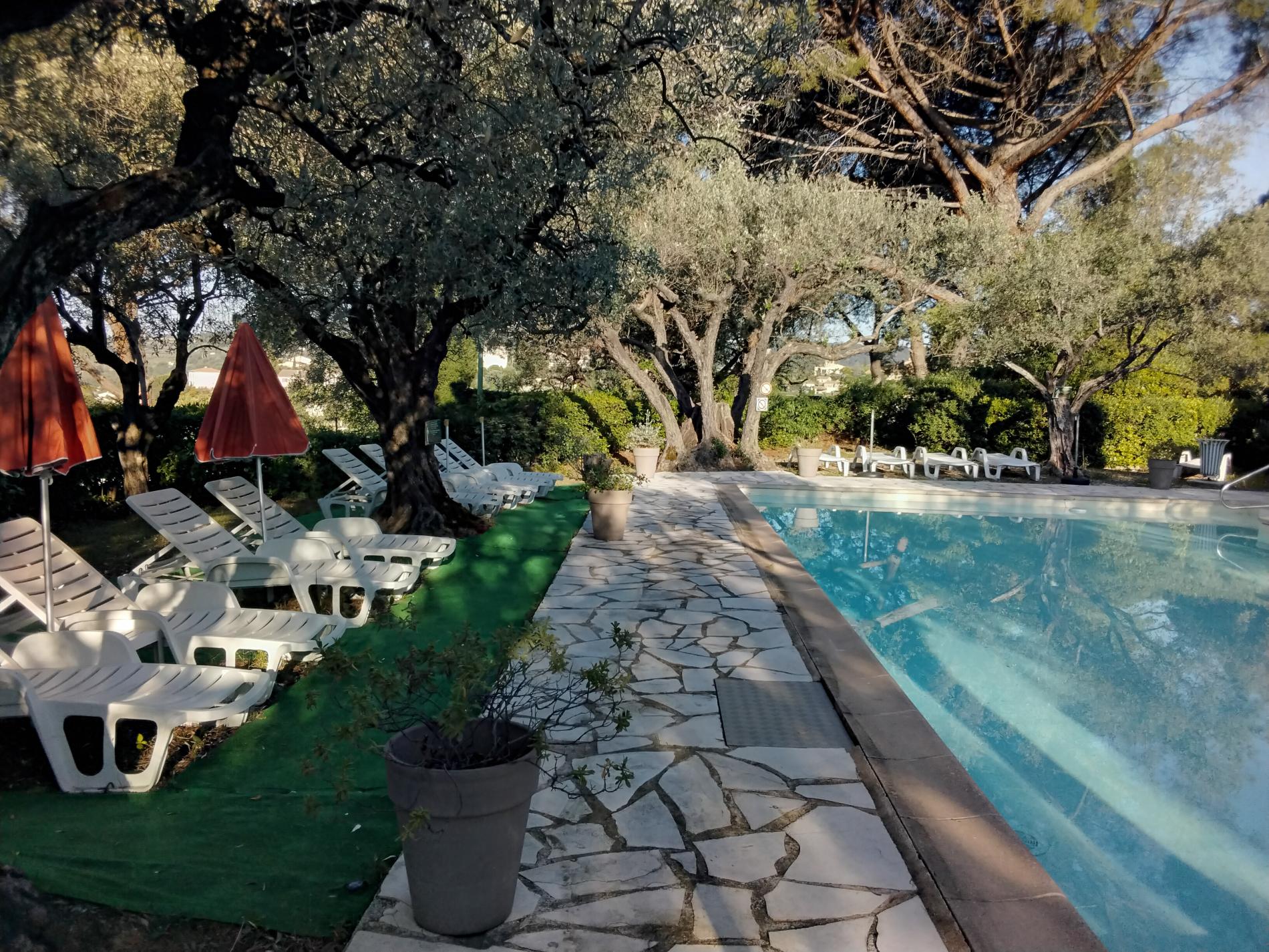 Piscine chauffée