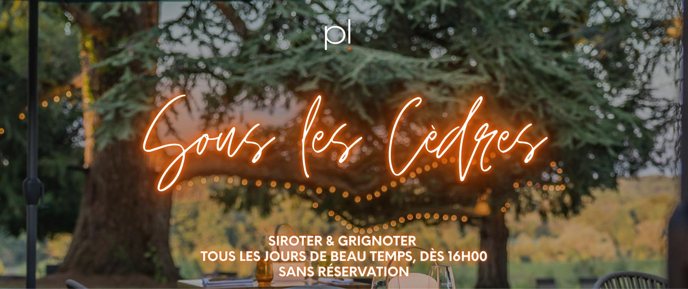 Sous les Cèdres - Siroter & Grignoter